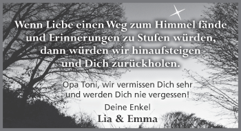 Traueranzeige von Anton Schüler 