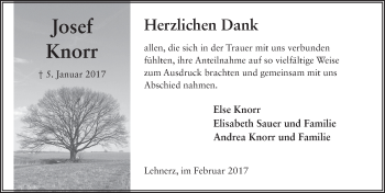 Traueranzeige von Josef Knorr 