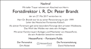 Traueranzeige von Peter Brandt 