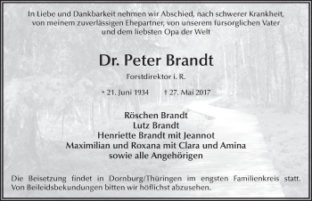 Traueranzeige von Peter Brandt 