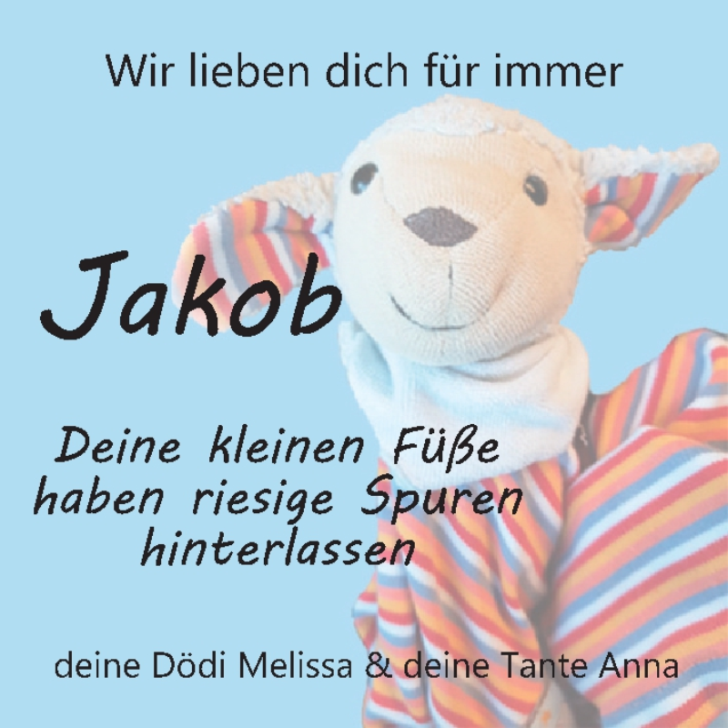  Traueranzeige für Jakob Josef Sorg vom 24.01.2019 aus 