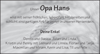Traueranzeige von Hans Juli von FZ