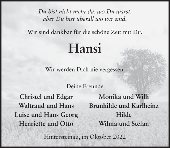 Traueranzeige von Hans Lang von FZ
