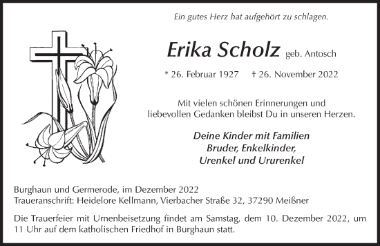 Traueranzeige von Erika Scholz von FZ