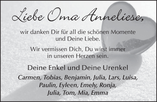 Traueranzeige von Anneliese Schlitzer von FZ