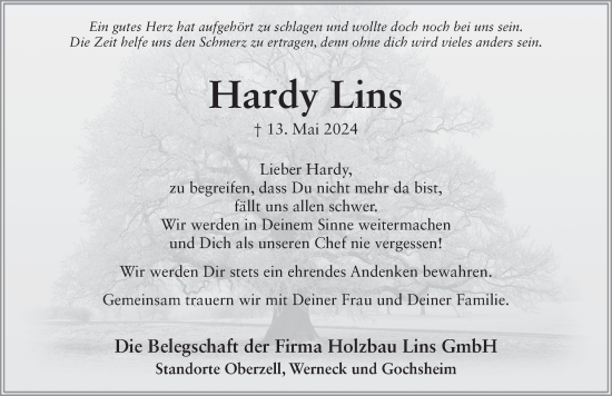 Traueranzeige von Hardy Lins von FZ