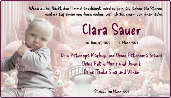 Traueranzeige von Clara Sauer von FZ