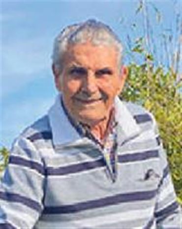 Profilbild von Franc Murk